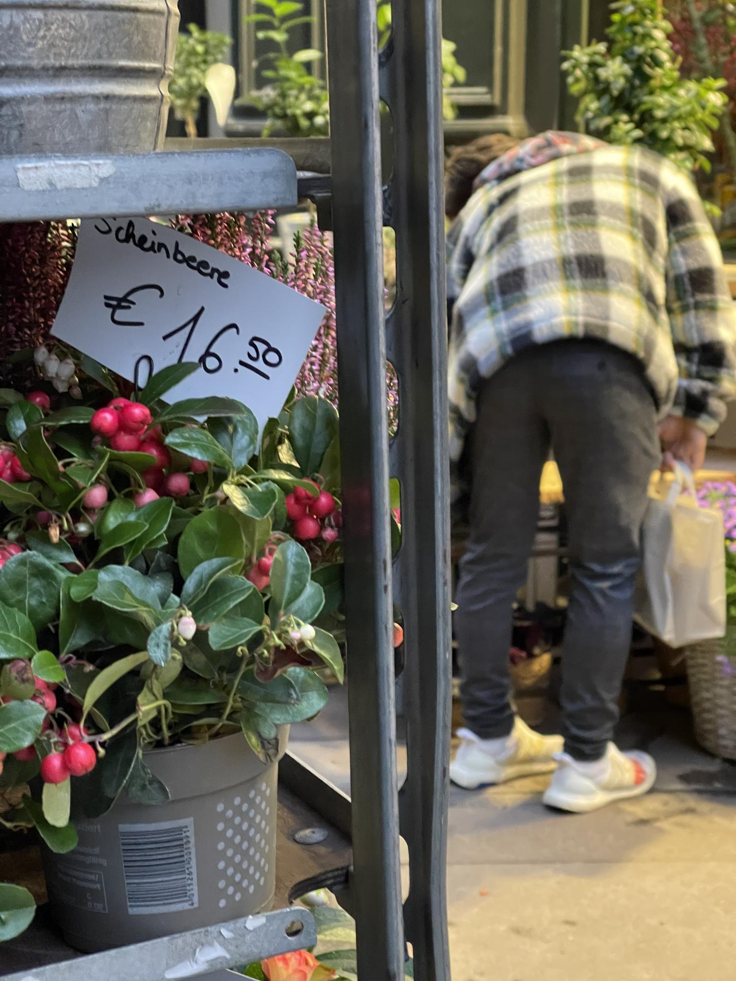 Organic market storefront